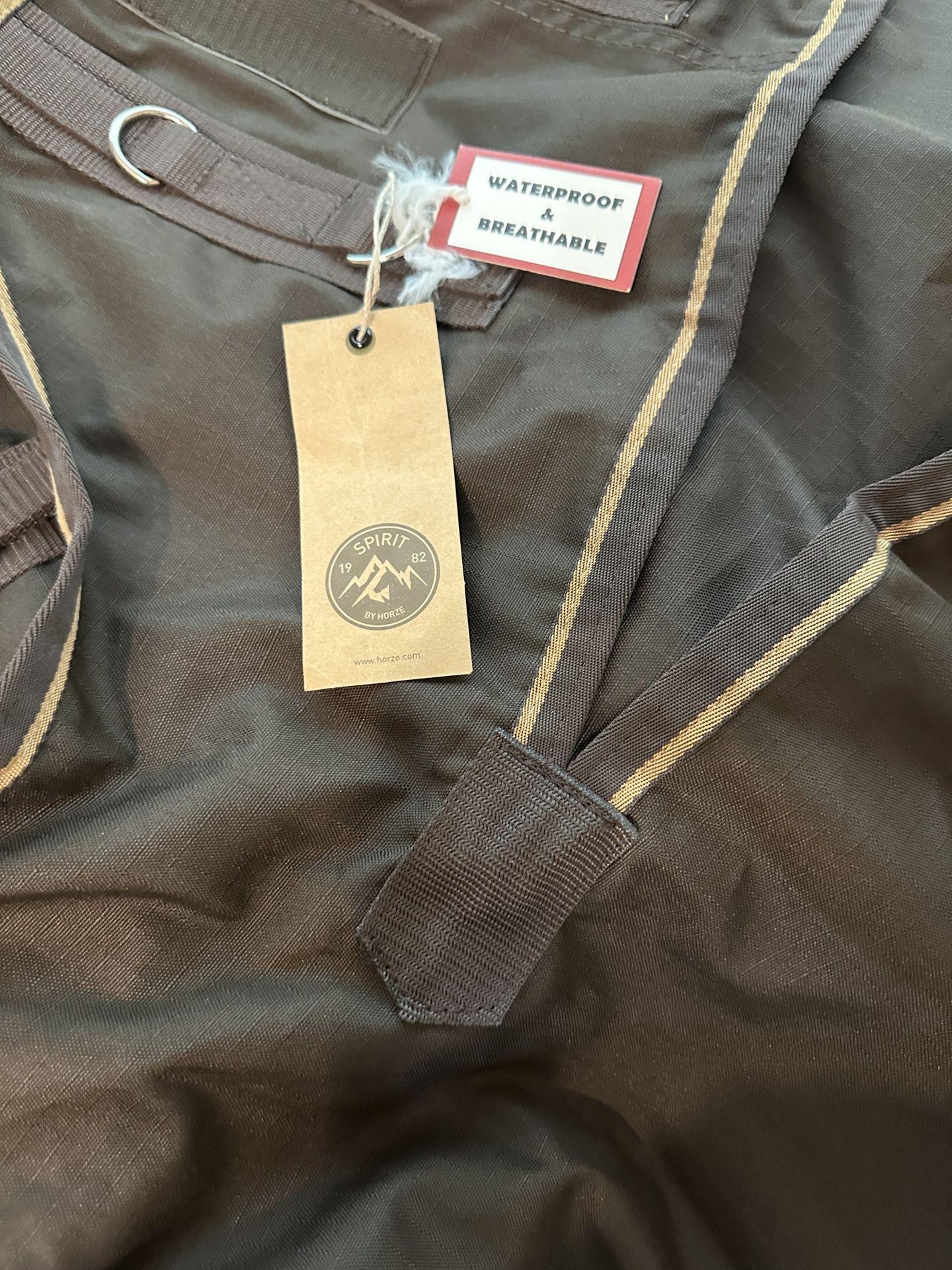 Equestrian Gear For Horse