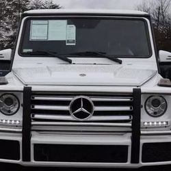 Mercedes G550 Bumper And Brush Guard 