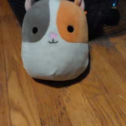 Guinea Pig Squishmallow 