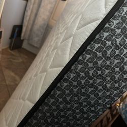 Queen Size Sealy Mattress & Box Spring 