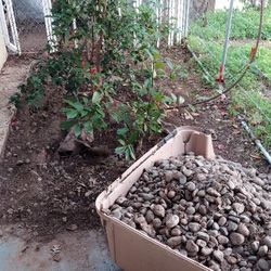 Rocks For Outdoor Use 