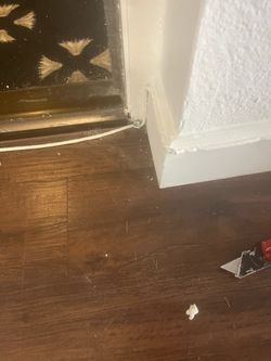 Vinyl Laminate Hardwood Flooring refinish Beisboard