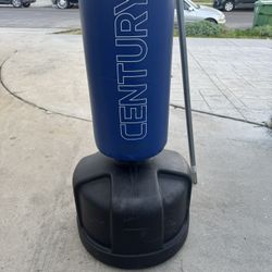 Century Original Wavemaster 