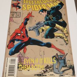 Spectacular Spider-Man #209 Comic Book Feb 1993