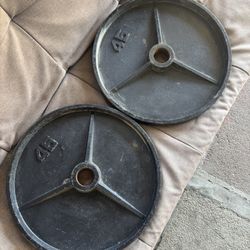 Olympic 45lb Pair Weight Plates