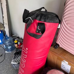 Boxing Bag Century