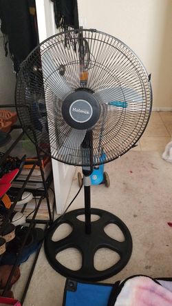 Fan