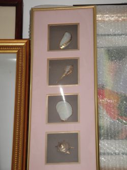 Wall art beach shells
