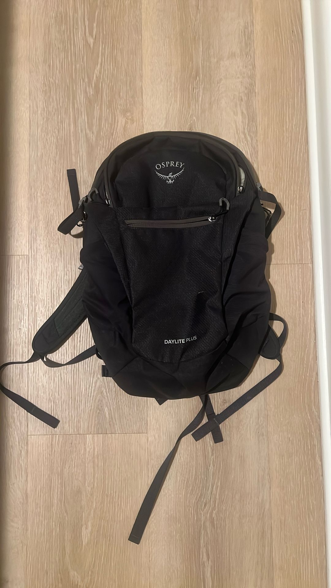 Osprey Backpack 