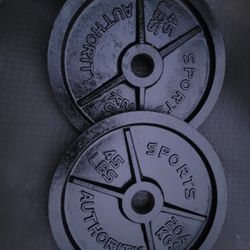 45lbs Olympic Weights