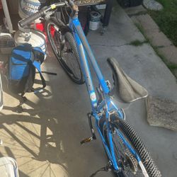 Bicycle Johns ATX Giant