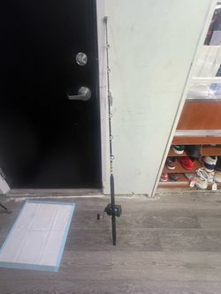 Shimano Fishing Reel TLD25