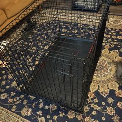 Dog Kennel 