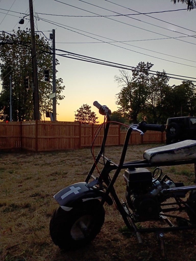 Colman Minibike(Trades Or Buy)
