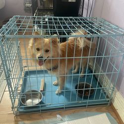 Medium Dog Cage