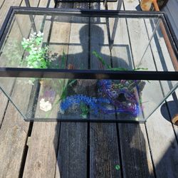 30 Gallon Fish Tank & Accessories 