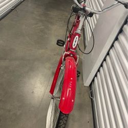 Adult Bike