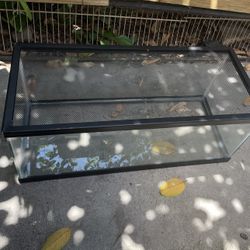 turtle tank