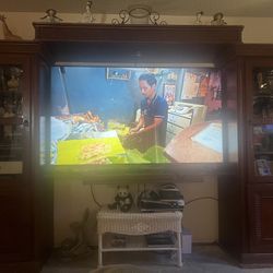 65 Inch Vizio Tv/ Entertainment Center 