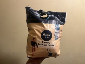 20 Pull Up Diapers  For 10$  Size 4 T/5t