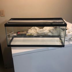Fish Tank