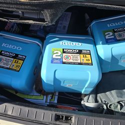 Igloo cooler New