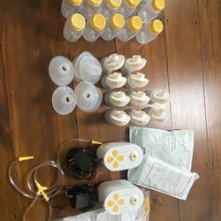 Medela Pump In Style
