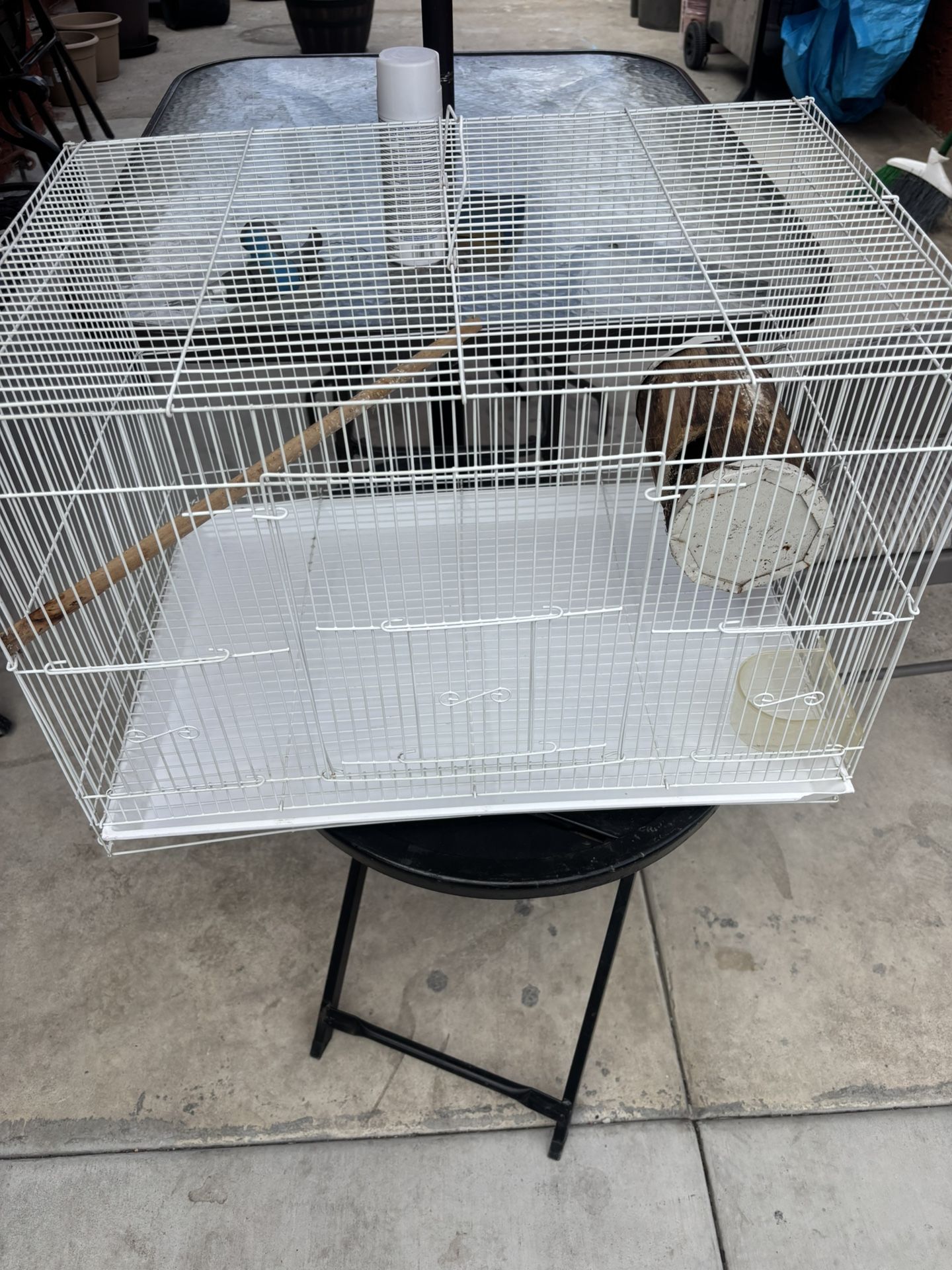 Bird Cage 