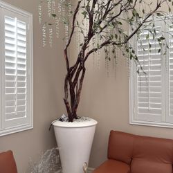 large plant decoration 