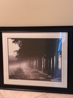 Beautiful black frame picture