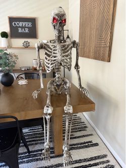 5ft Posable Skeleton
