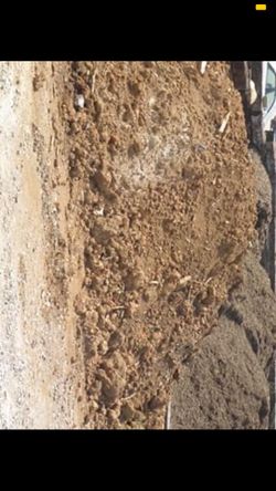 Free clean dirt free delivery