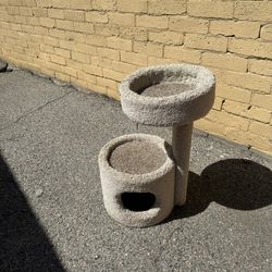 Cat tree & Cat Litter Box