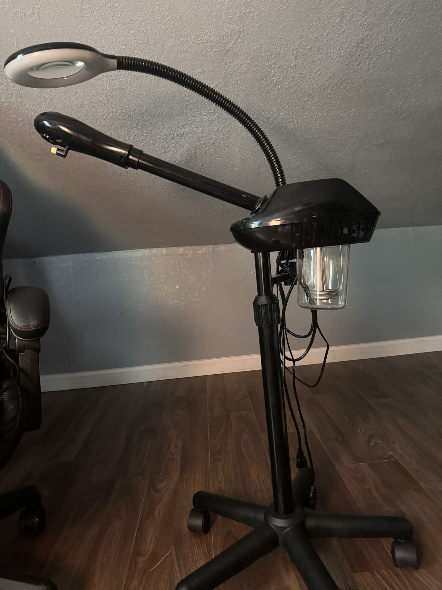 Pro facial steamer With Lamp