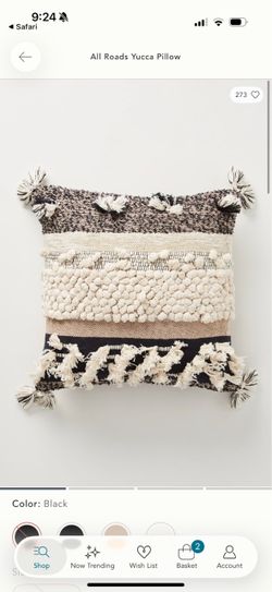 Anthropologie pillow