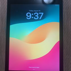 Apple iPad 6th Generation 128GB Unlocked Like New!