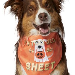 I’m too old for this sheet