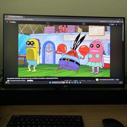 27 Inch Monitor