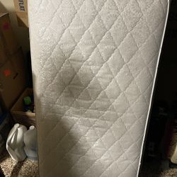Seally Crib Mattress For Babies And Daybed For Toddlers