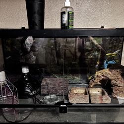 Reptile enclosure tank