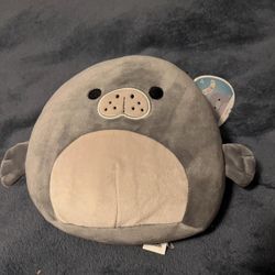 Matt the Gray Manatee Sealife 8” Squishmallow NWT