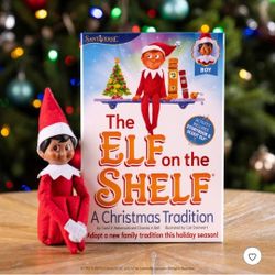 Elf on the Shelf Boy-Brown eyes