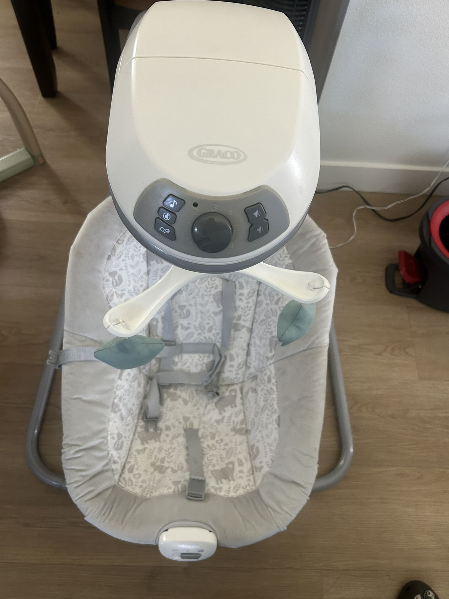 Graco Baby Swing