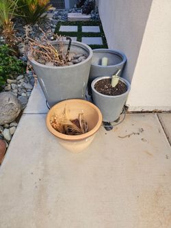 4 planters with 3 wheeled bases/stands/carts