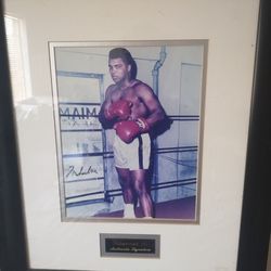 Muhammad Ali Autographed Picture