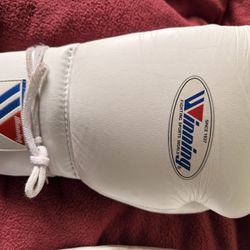 winning Gloves 