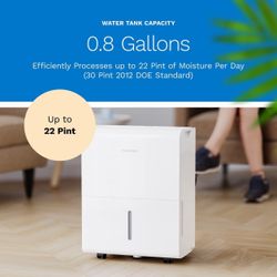hOmeLabs Energy Star Rated Dehumidifier