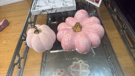 Nice beautiful decorative pumpkins