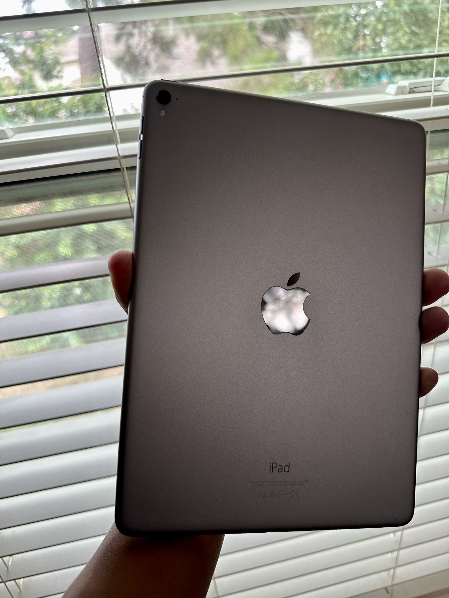 iPad Pro De 128G