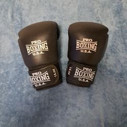 Boxing Gloves 14oz